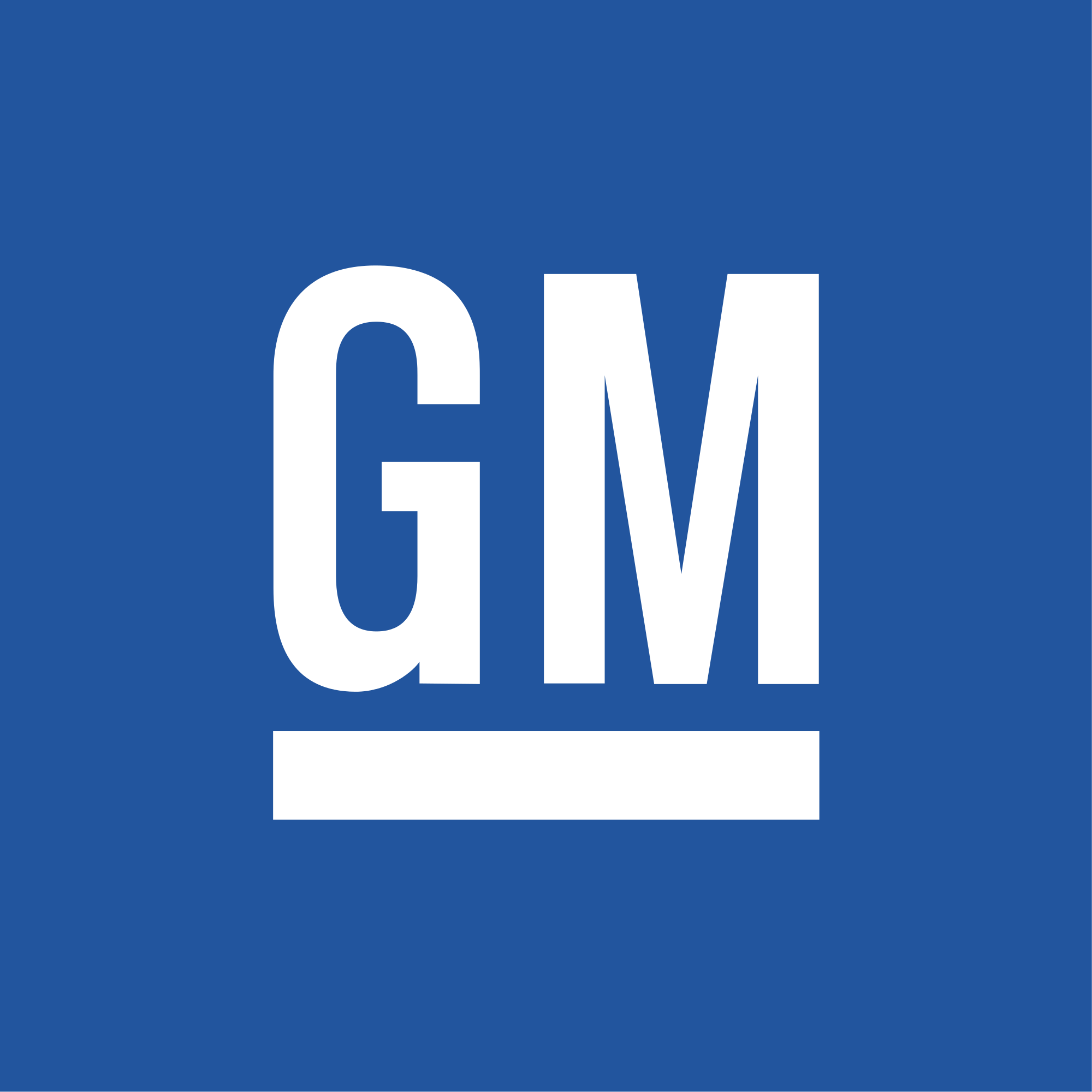 GM Logo